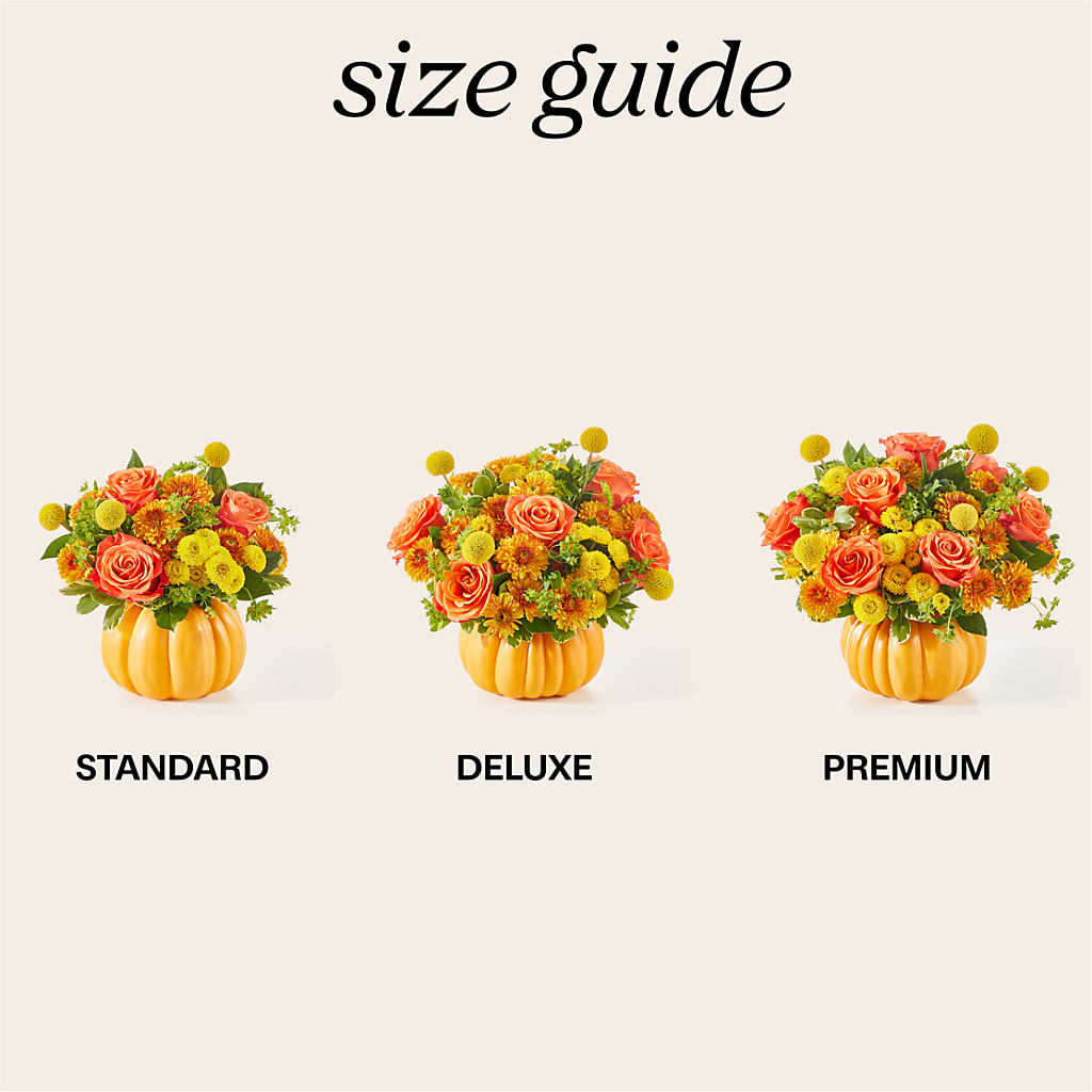 Gourdgeous Pumpkin –  King Wholesale Flowers Co, Bradenton FL