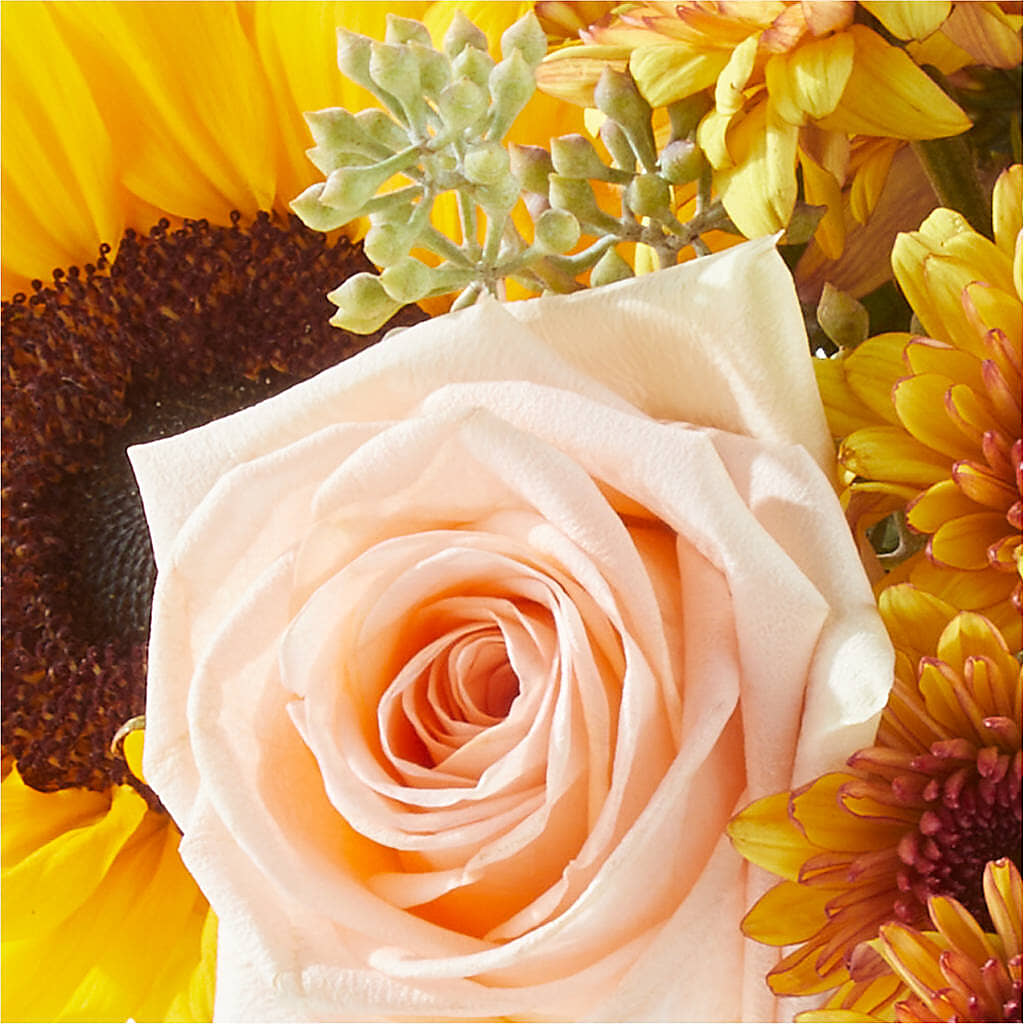 Pumpkin to Talk About Bouquet –  King Wholesale Flowers Co, Bradenton FL