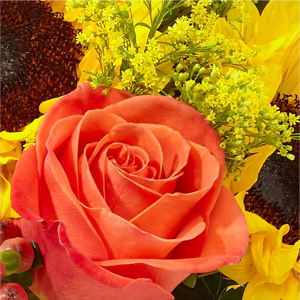 Pick of the Patch Pumpkin Bouquet –  King Wholesale Flowers Co, Bradenton FL