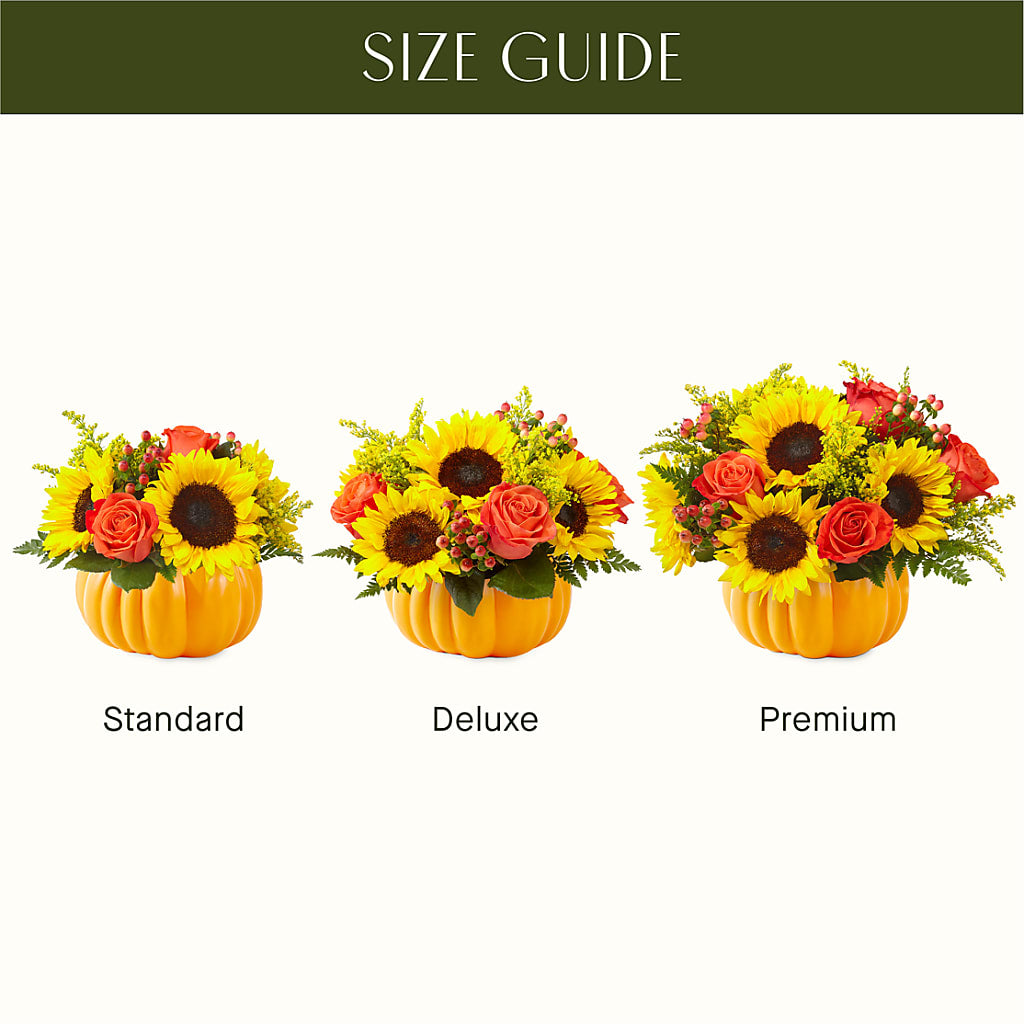 Pick of the Patch Pumpkin Bouquet –  King Wholesale Flowers Co, Bradenton FL