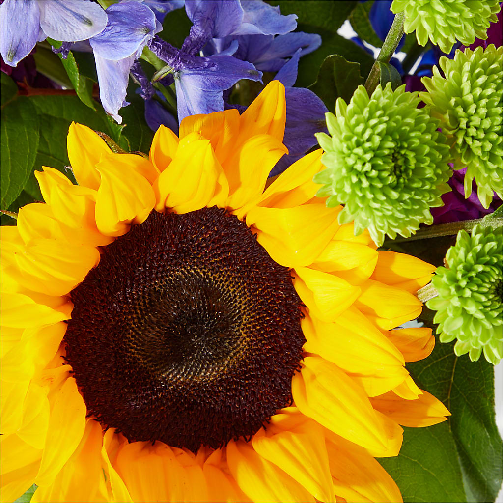 Catching Rays Bouquet –  King Wholesale Flowers Co, Bradenton FL