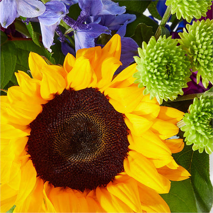 Catching Rays Bouquet –  King Wholesale Flowers Co, Bradenton FL