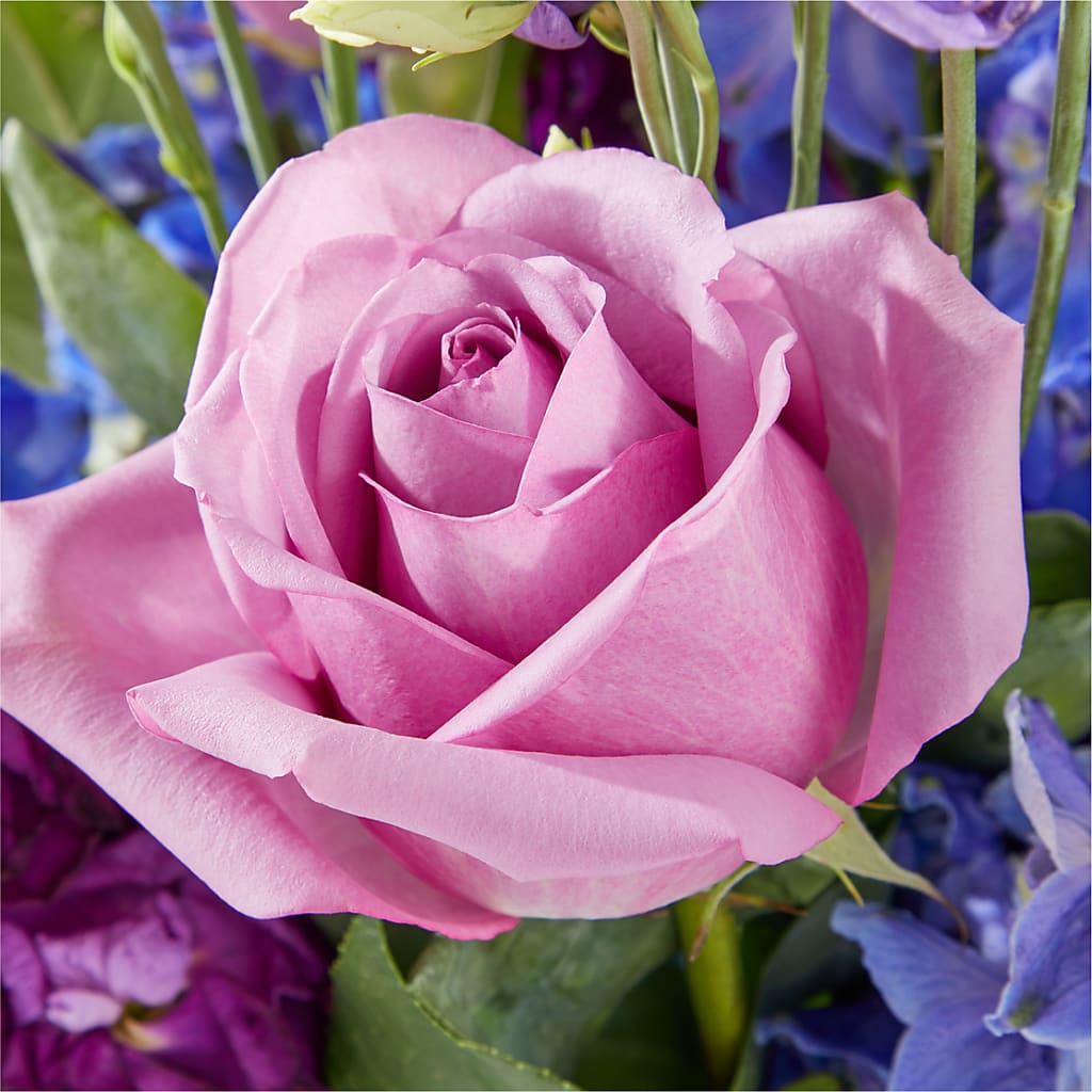 Twilight Glow Bouquet –  King Wholesale Flowers Co, Bradenton FL