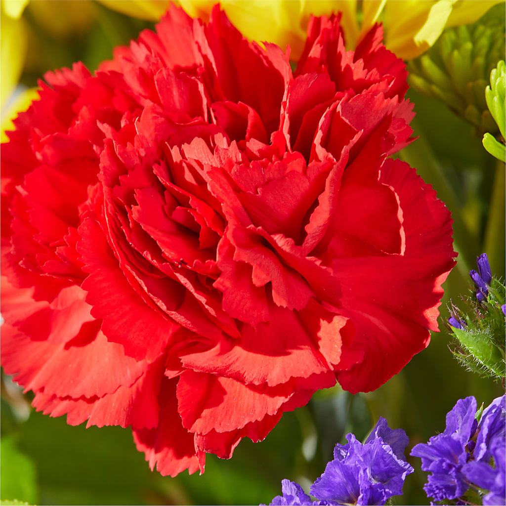 Brighter Days Bouquet –  King Wholesale Flowers Co, Bradenton FL