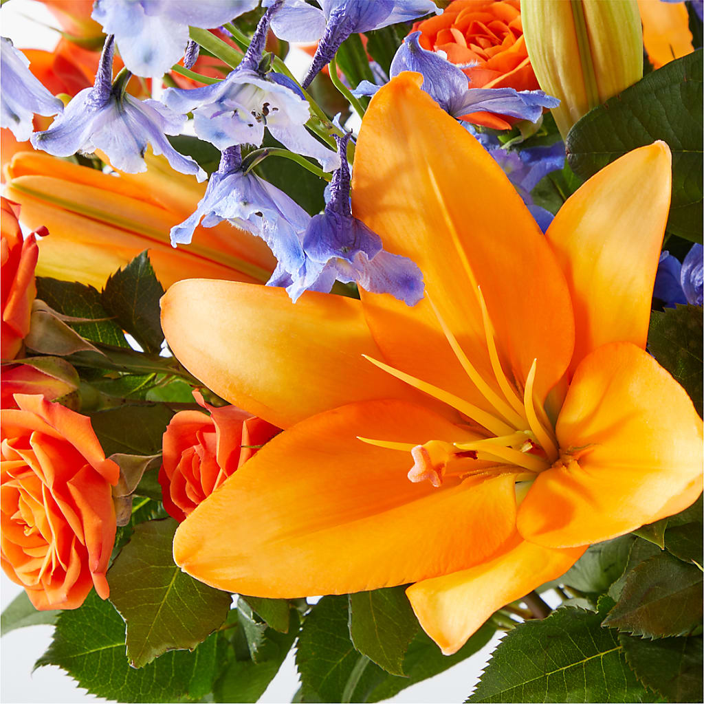 Radiant Citrus Bouquet –  King Wholesale Flowers Co, Bradenton FL