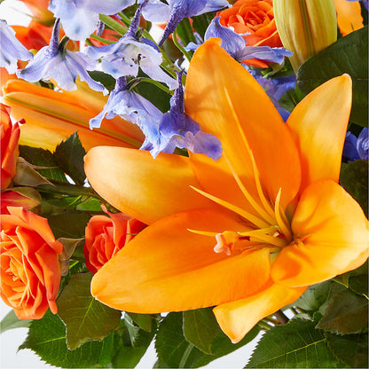 Radiant Citrus Bouquet –  King Wholesale Flowers Co, Bradenton FL