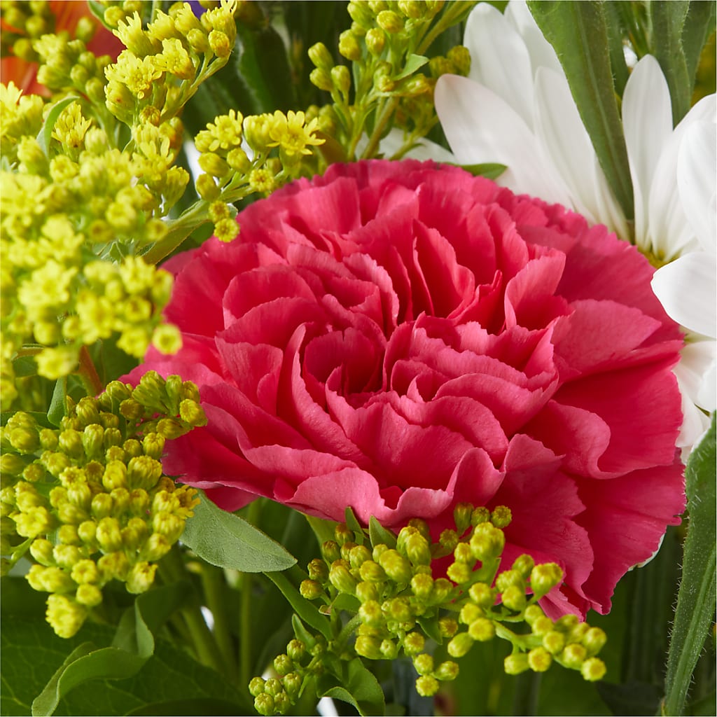 Oopsie Daisy Bouquet –  King Wholesale Flowers Co, Bradenton FL