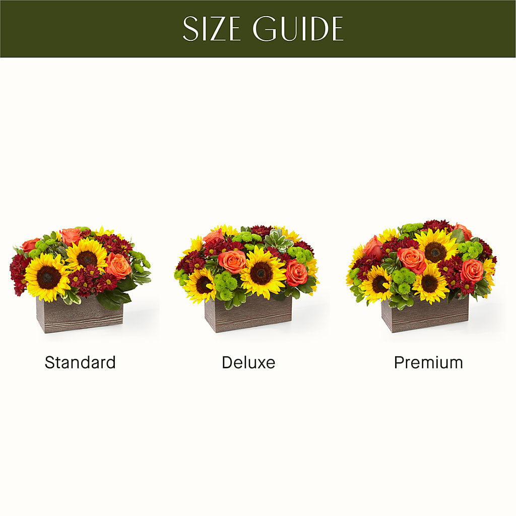 Happy Harvest Garden –  King Wholesale Flowers Co, Bradenton FL
