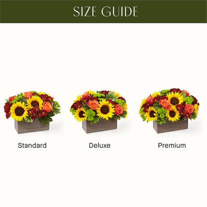 Happy Harvest Garden –  King Wholesale Flowers Co, Bradenton FL