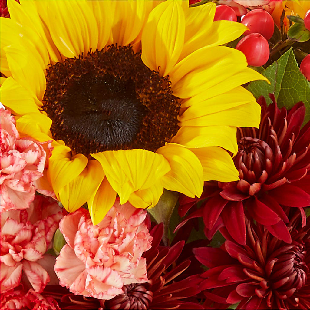 Fresh Cider Bouquet –  King Wholesale Flowers Co, Bradenton FL