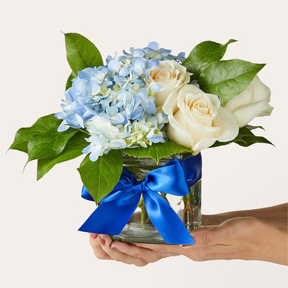Sky Blue Delight Bouquet –  King Wholesale Flowers Co, Bradenton FL