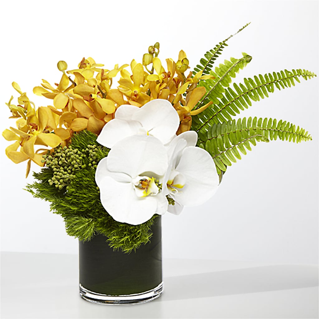 The Tropics –  The Flower Place, Bradenton FL