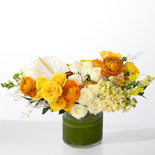 The Optimist –  The Flower Place, Bradenton FL