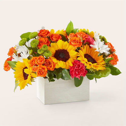 Sun-drenched Blooms Box Bouquet –  King Wholesale Flowers Co, Bradenton FL