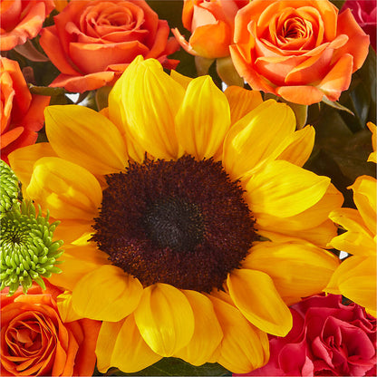 Sun-drenched Blooms Box Bouquet –  King Wholesale Flowers Co, Bradenton FL