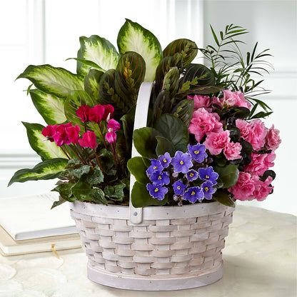 Peaceful Garden Planter – THE FLOWER PLACE, Bradenton FL