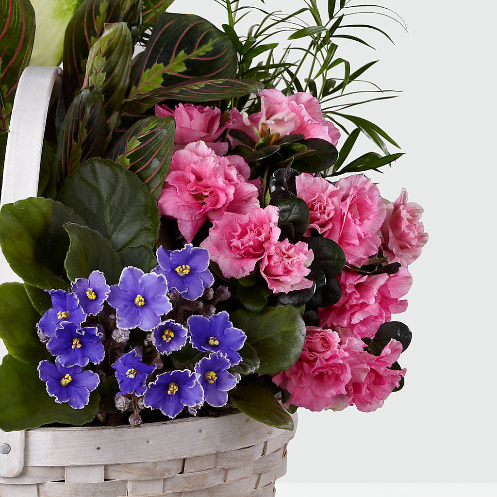 Peaceful Garden Planter –  King Wholesale Flowers Co, Bradenton FL