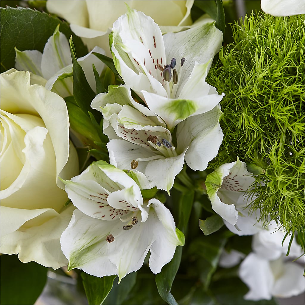 Classic Ivory – A Florist Original –  King Wholesale Flowers Co, Bradenton FL