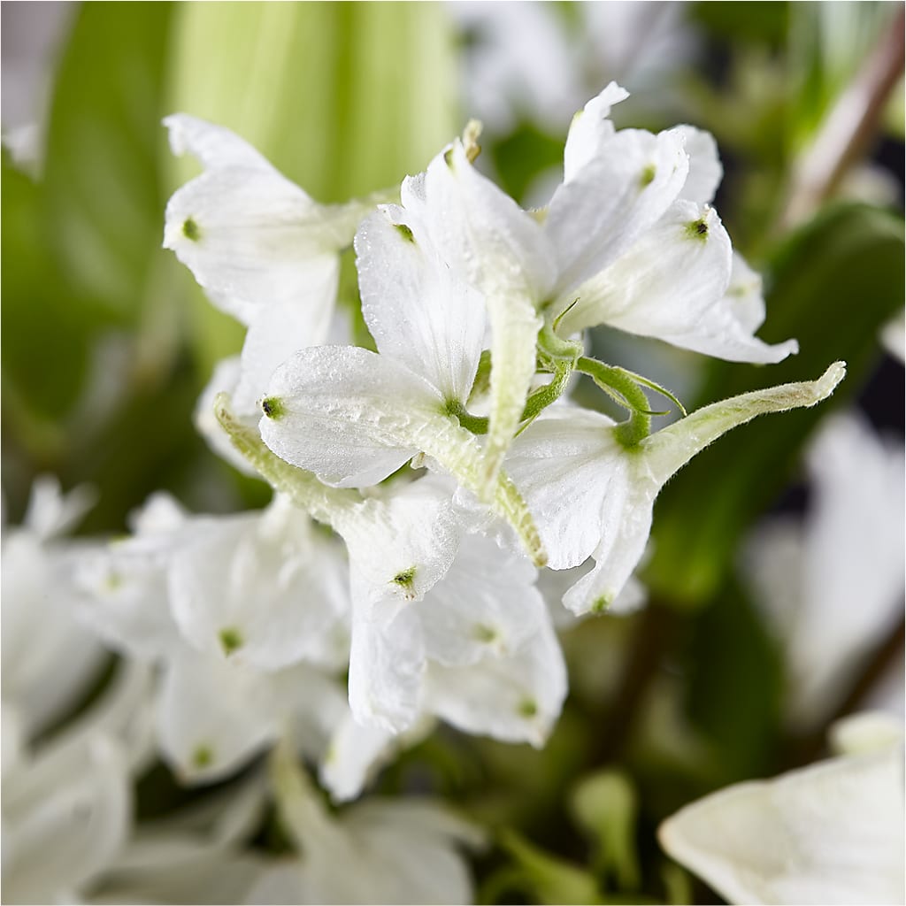 Classic Ivory – A Florist Original –  King Wholesale Flowers Co, Bradenton FL