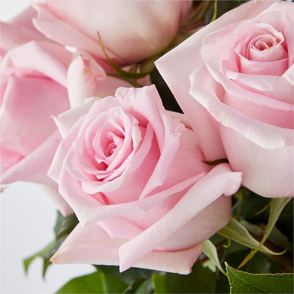 Picture Perfect Pink Rose Bouquet –  King Wholesale Flowers Co, Bradenton FL