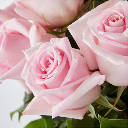 Picture Perfect Pink Rose Bouquet –  King Wholesale Flowers Co, Bradenton FL