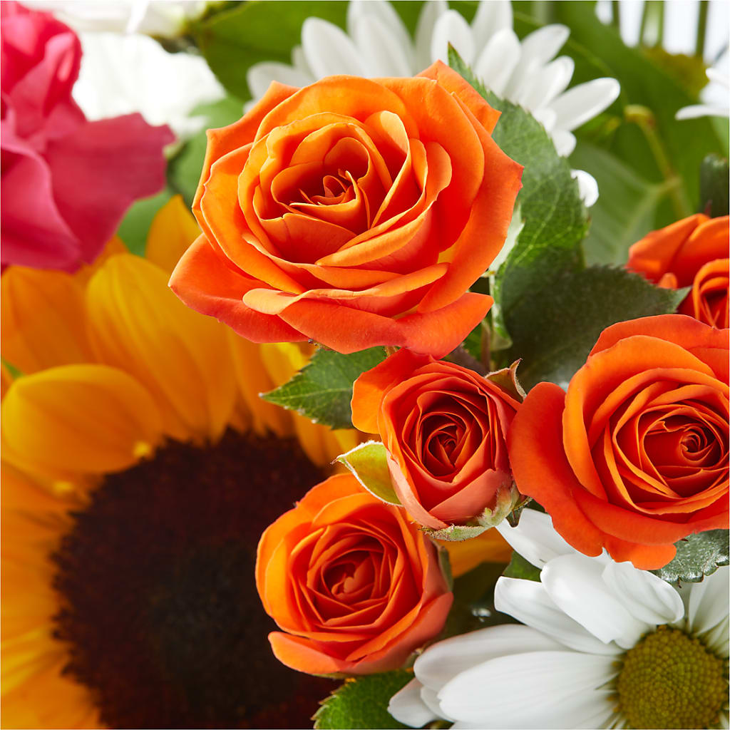 Sun-drenched Blooms Bouquet –  King Wholesale Flowers Co, Bradenton FL