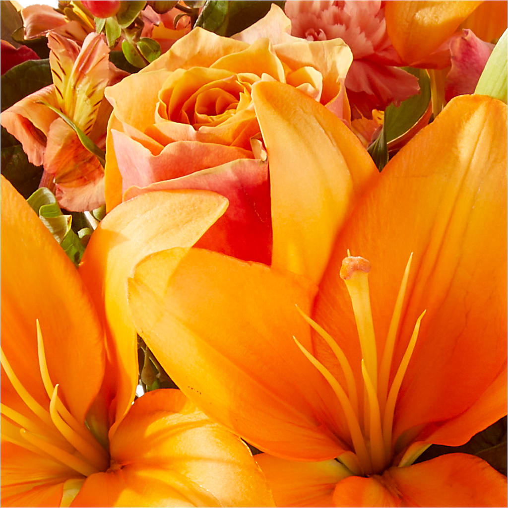 Afternoon Light Bouquet –  King Wholesale Flowers Co, Bradenton FL