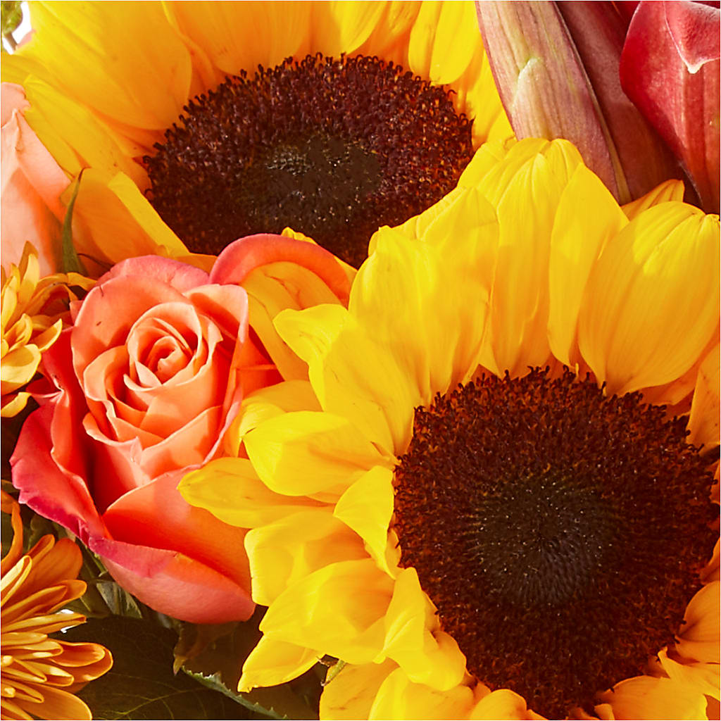 Acorn Lane Bouquet –  King Wholesale Flowers Co, Bradenton FL