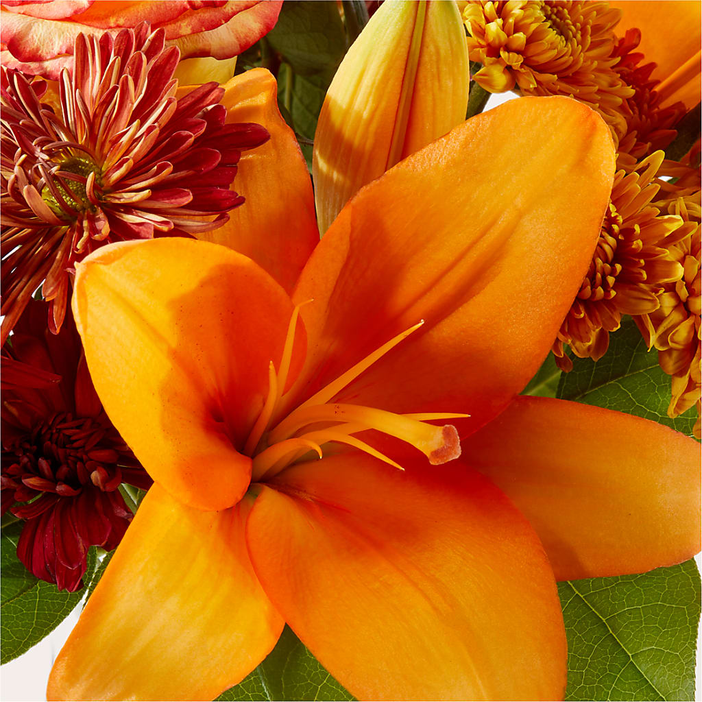 Autumnal Aroma Bouquet –  King Wholesale Flowers Co, Bradenton FL