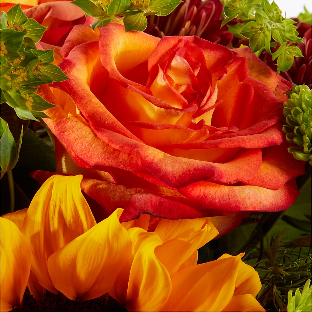 Harvest Festival Bouquet –  King Wholesale Flowers Co, Bradenton FL