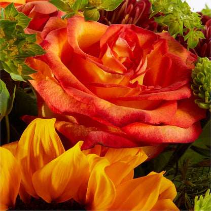 Harvest Festival Bouquet –  King Wholesale Flowers Co, Bradenton FL