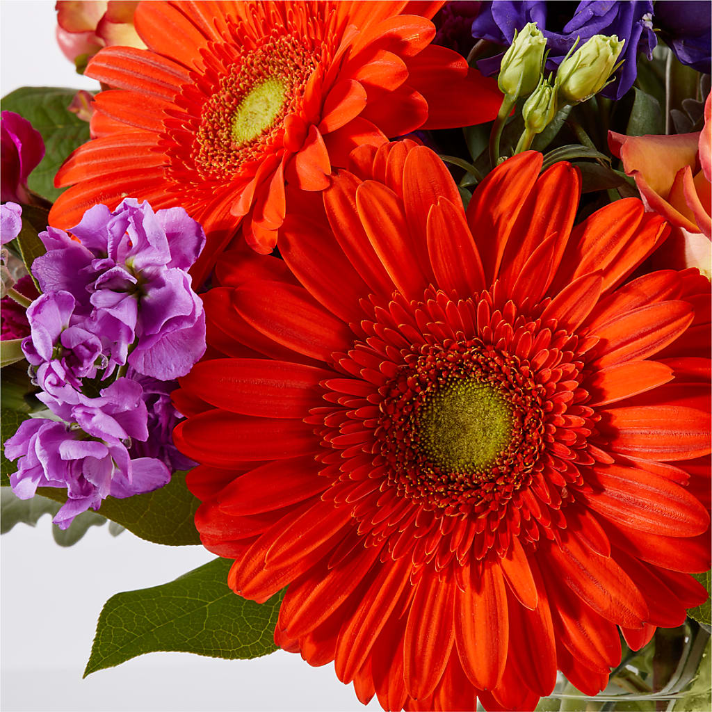 Sangria Bouquet –  King Wholesale Flowers Co, Bradenton FL