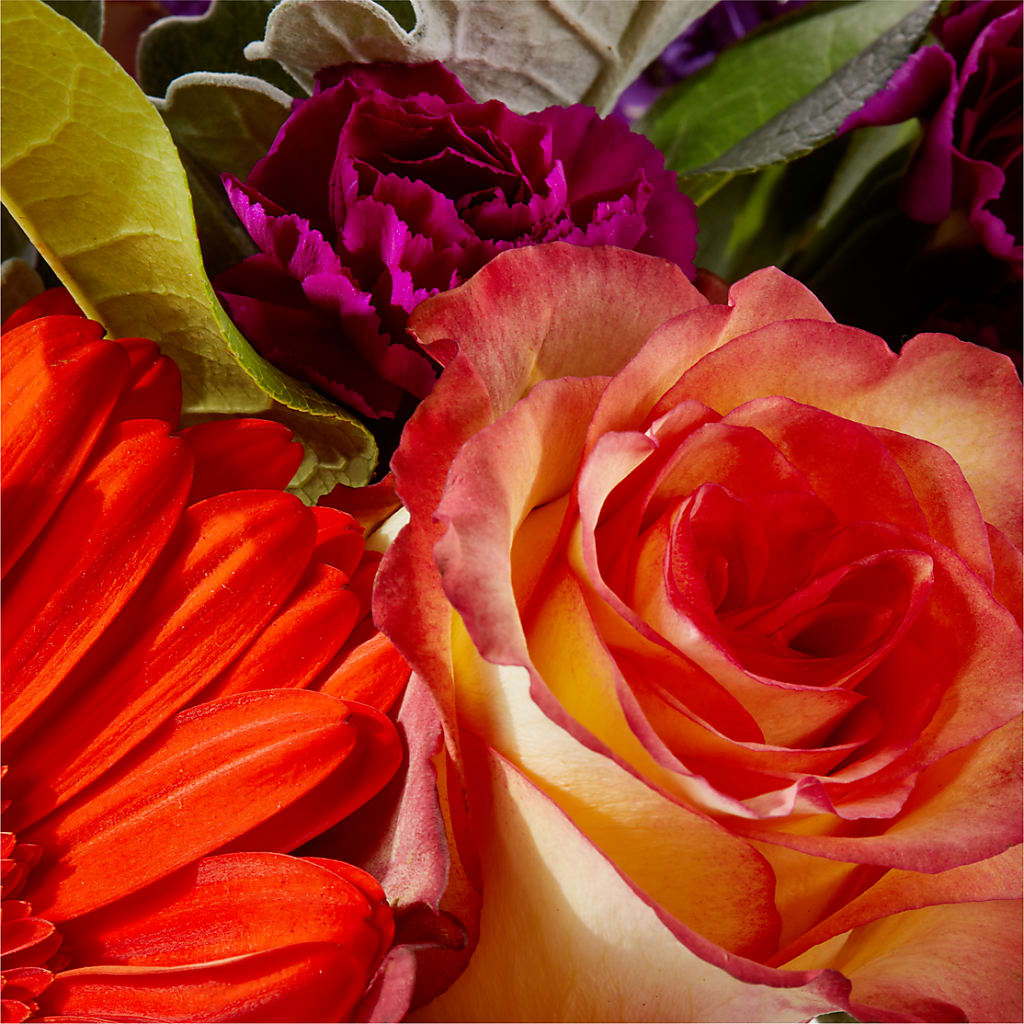 Sangria Bouquet –  King Wholesale Flowers Co, Bradenton FL