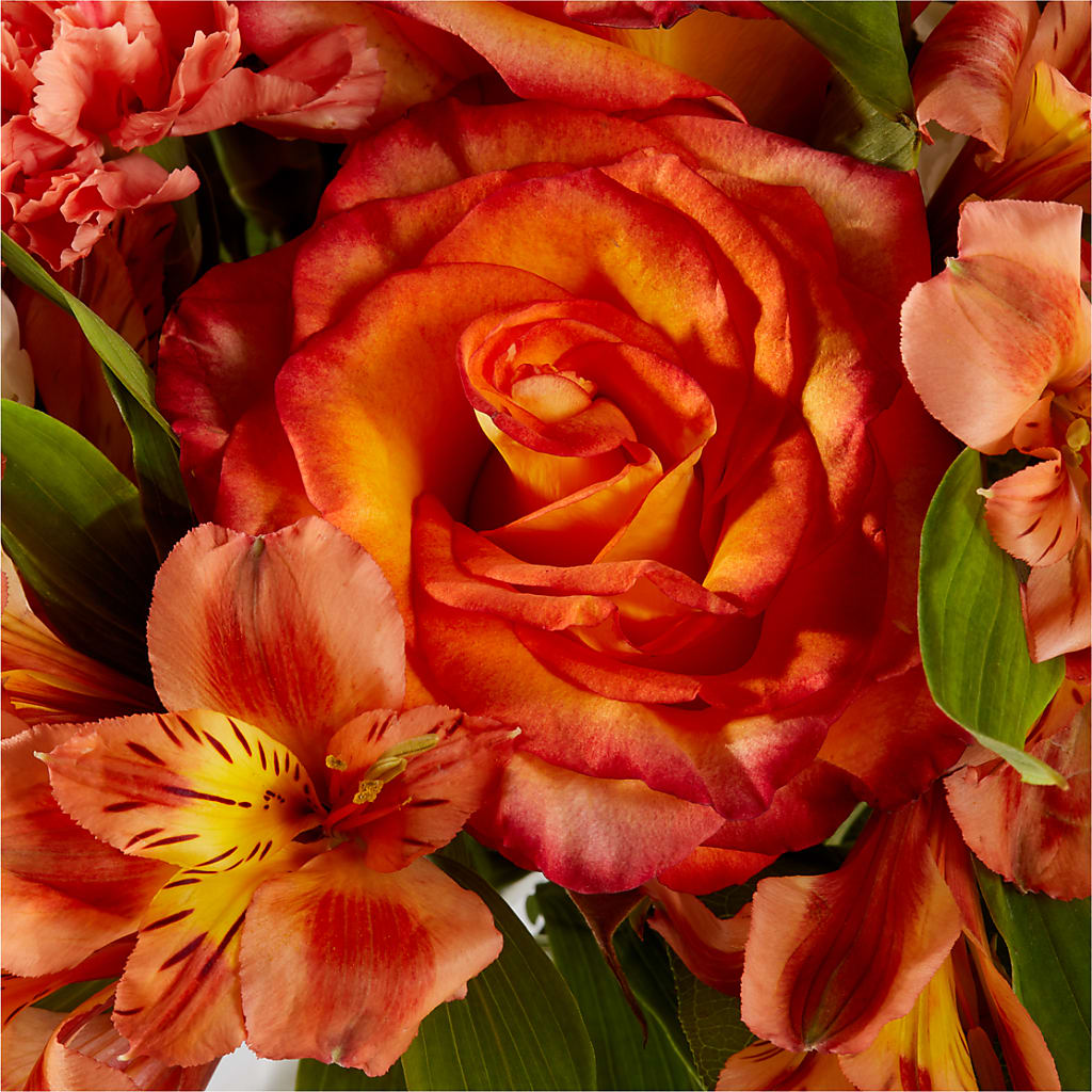 Apricot Glow Bouquet –  King Wholesale Flowers Co, Bradenton FL