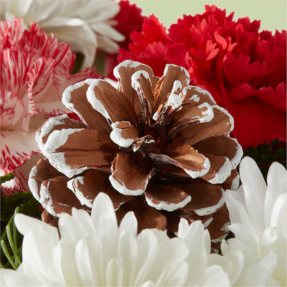 Candy Cane Lane Bouquet –  King Wholesale Flowers Co, Bradenton FL