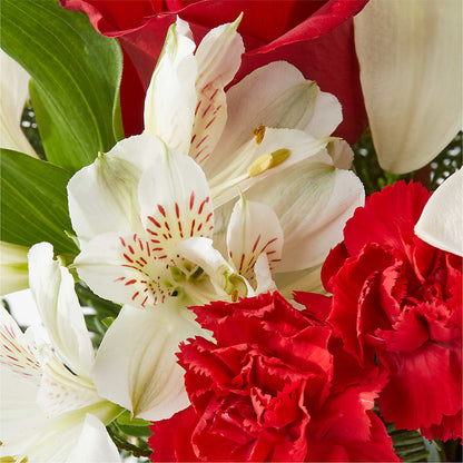 Holiday Season Bouquet –  King Wholesale Flowers Co, Bradenton FL