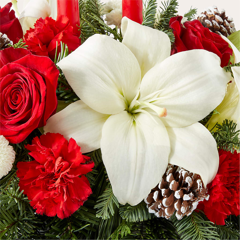 Seasonal Festivities Centerpiece –  King Wholesale Flowers Co, Bradenton FL