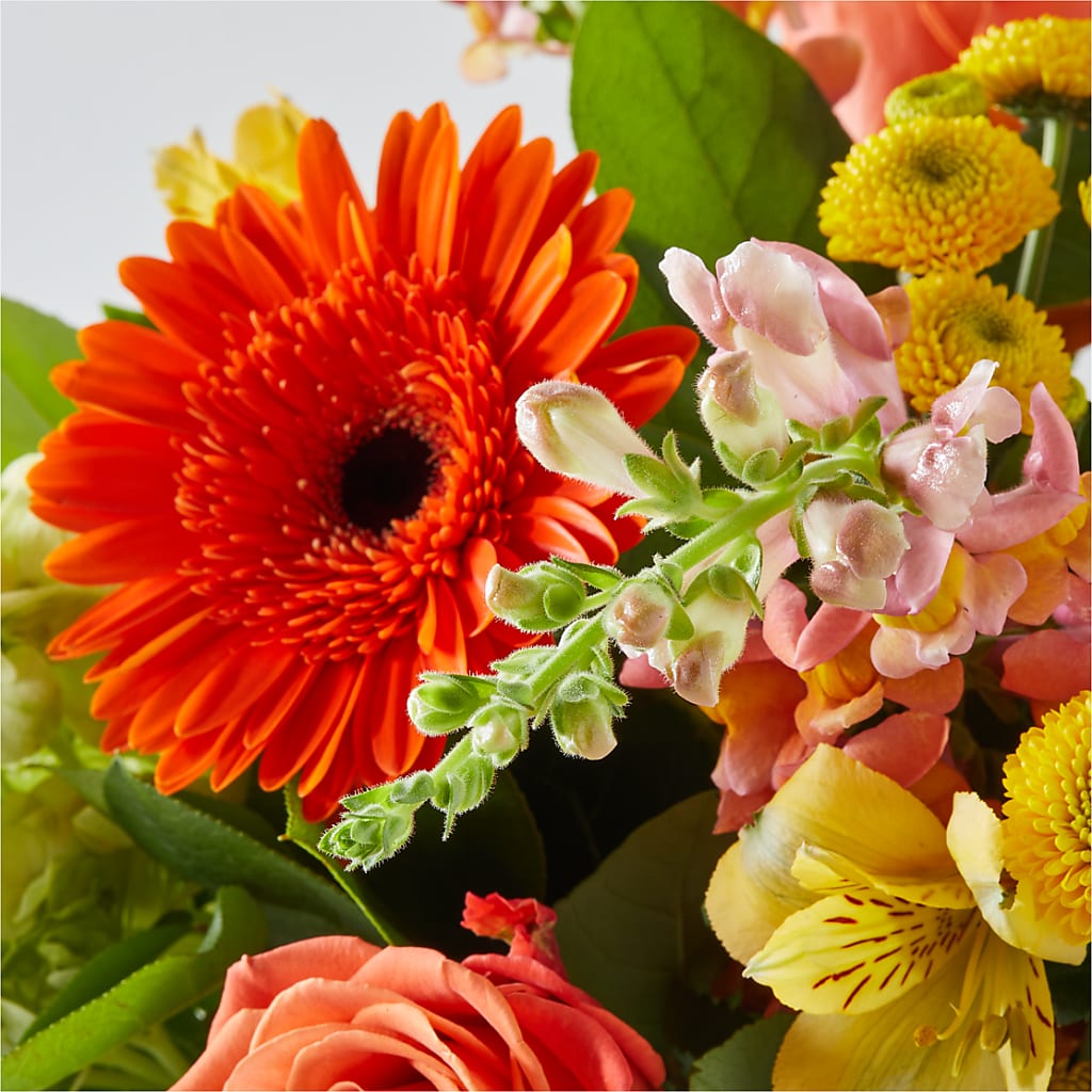 Autumn Sunshine Bouquet –  King Wholesale Flowers Co, Bradenton FL