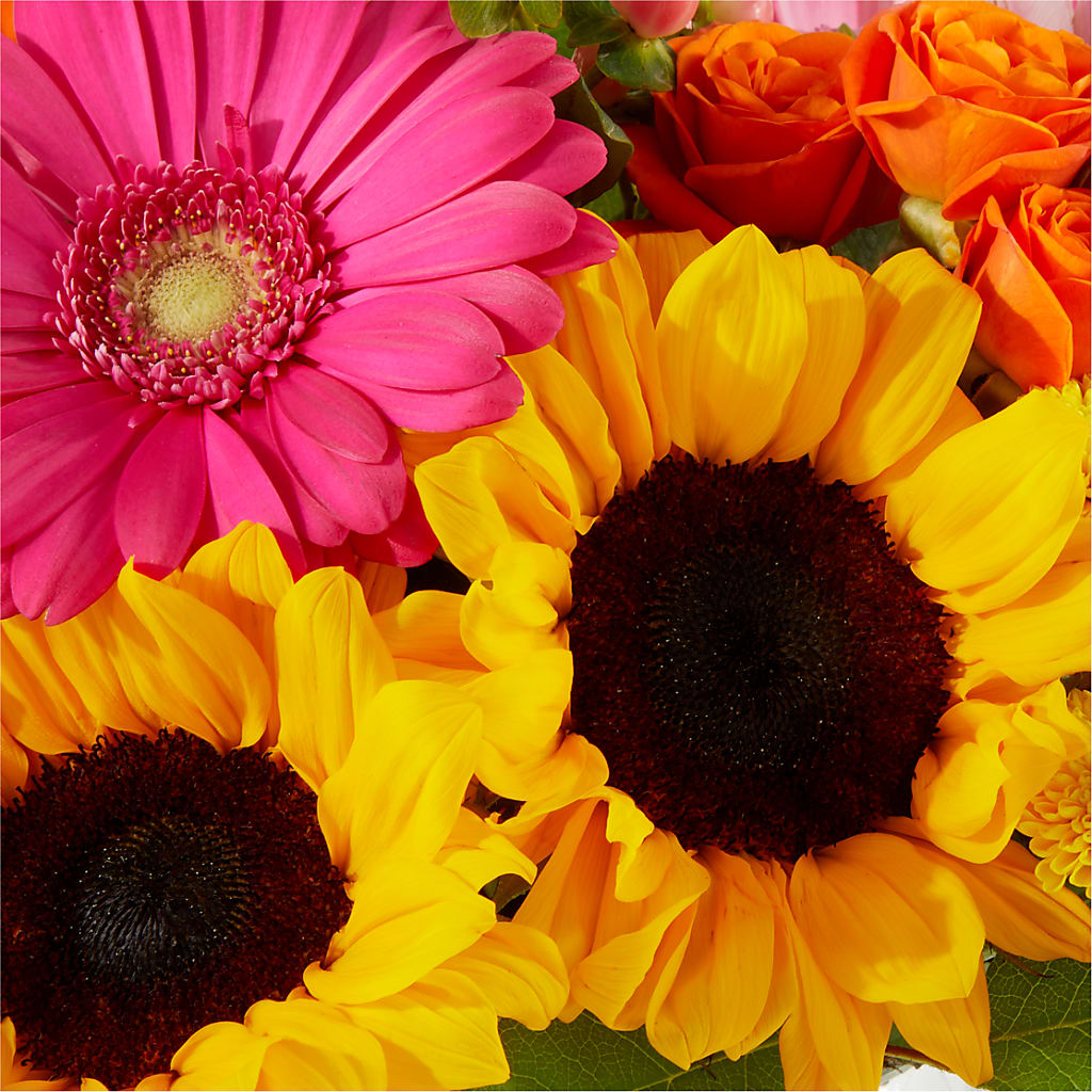 Beach Day Bouquet –  King Wholesale Flowers Co, Bradenton FL