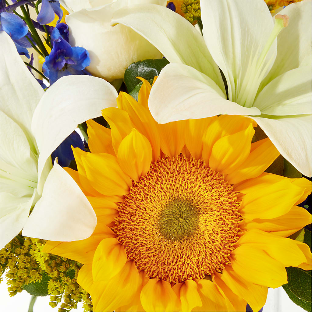 Stargazing Bouquet –  King Wholesale Flowers Co, Bradenton FL