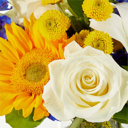 Stargazing Bouquet –  King Wholesale Flowers Co, Bradenton FL