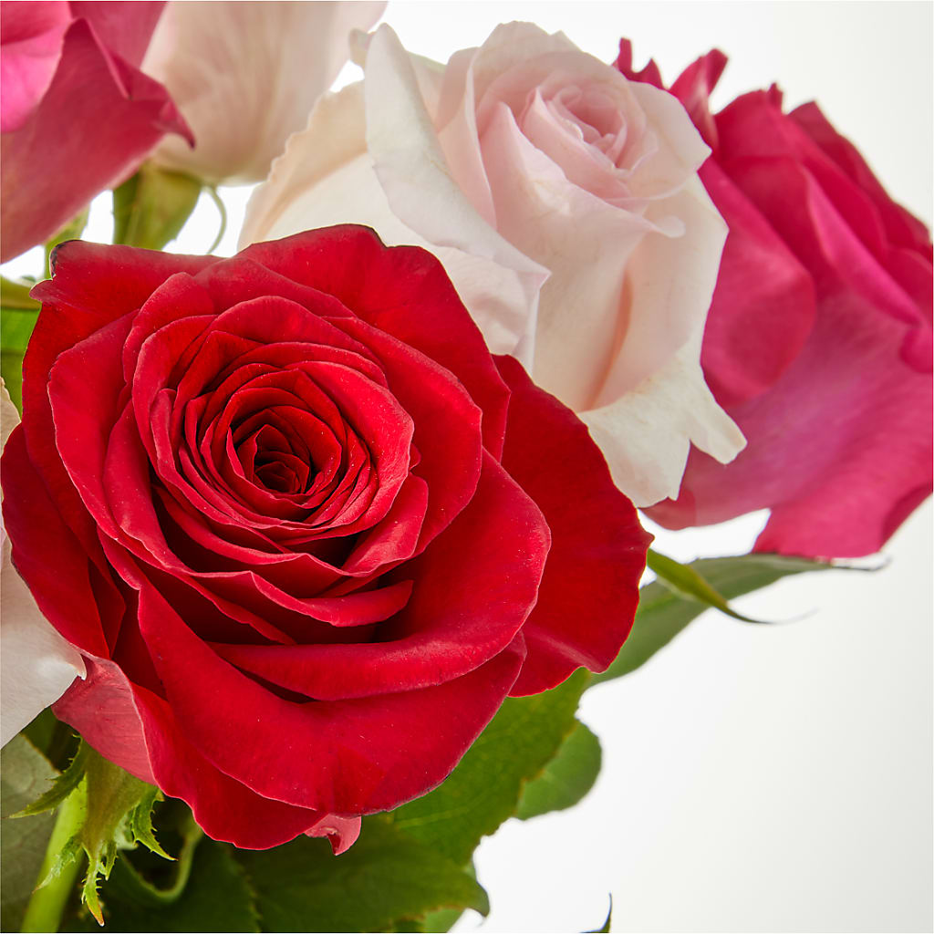 Charming Rose Bouquet –  King Wholesale Flowers Co, Bradenton FL