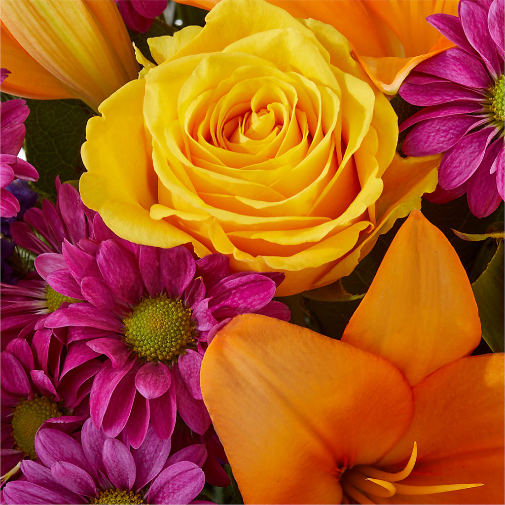 Colorful Visions Bouquet –  King Wholesale Flowers Co, Bradenton FL