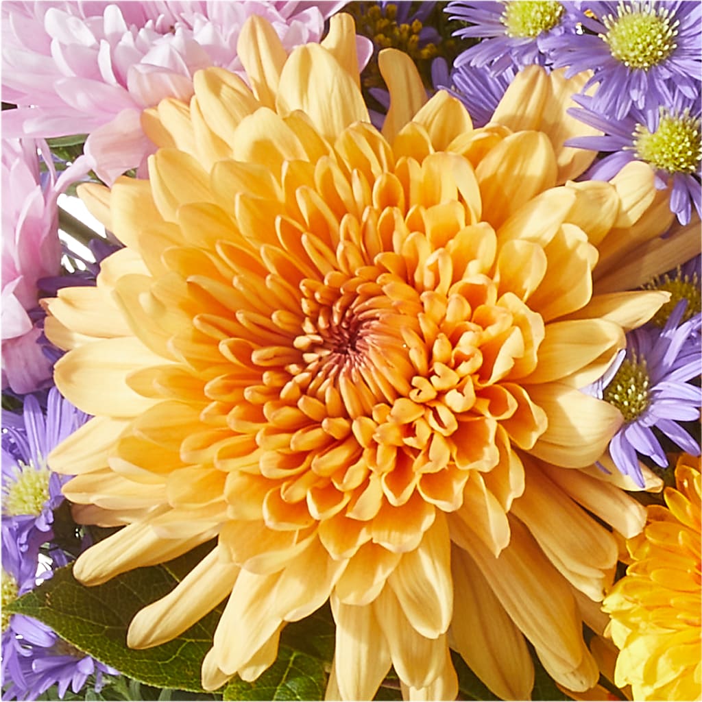 Countryside Bouquet –  King Wholesale Flowers Co, Bradenton FL