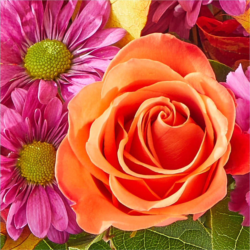 Mum's the Word Bouquet –  King Wholesale Flowers Co, Bradenton FL