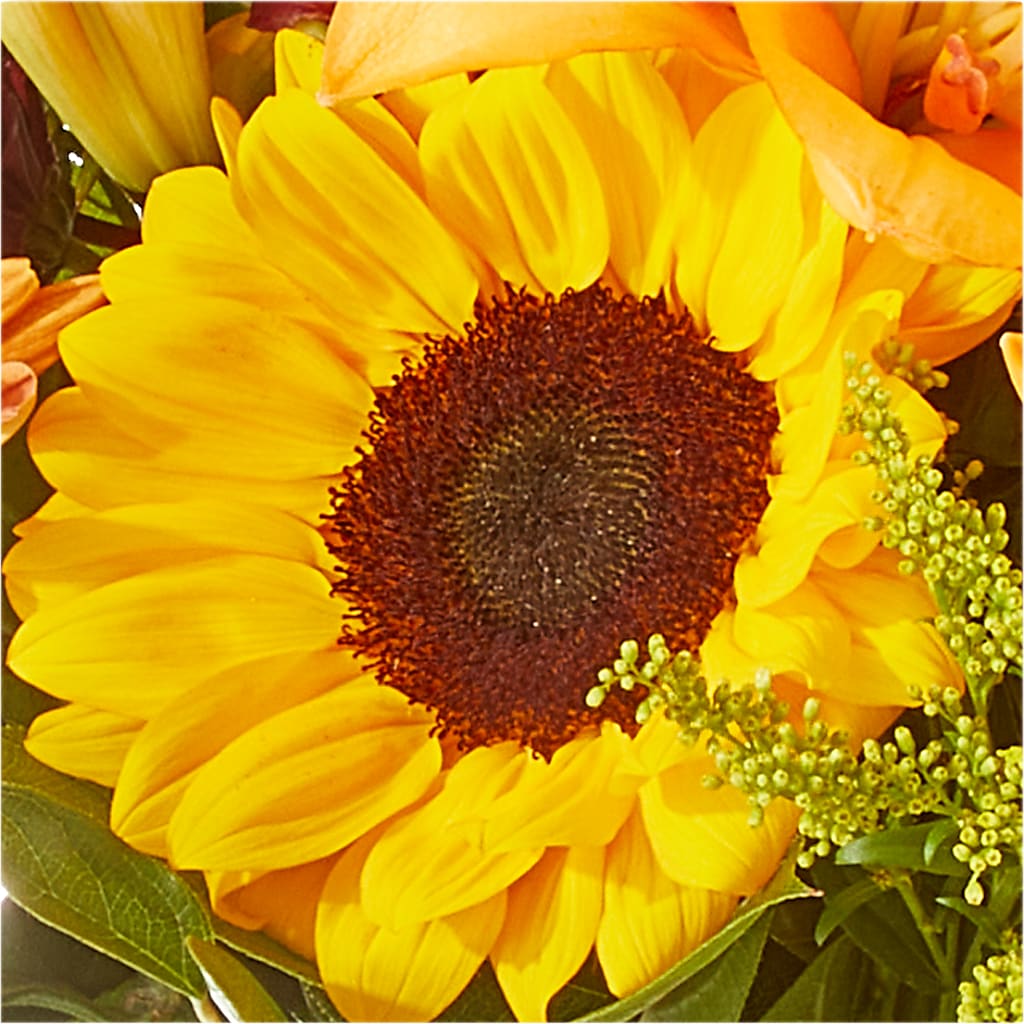 Seasons Change Bouquet –  King Wholesale Flowers Co, Bradenton FL