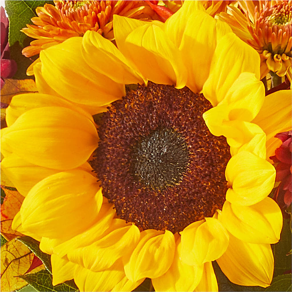 Sunny Side Bouquet –  King Wholesale Flowers Co, Bradenton FL