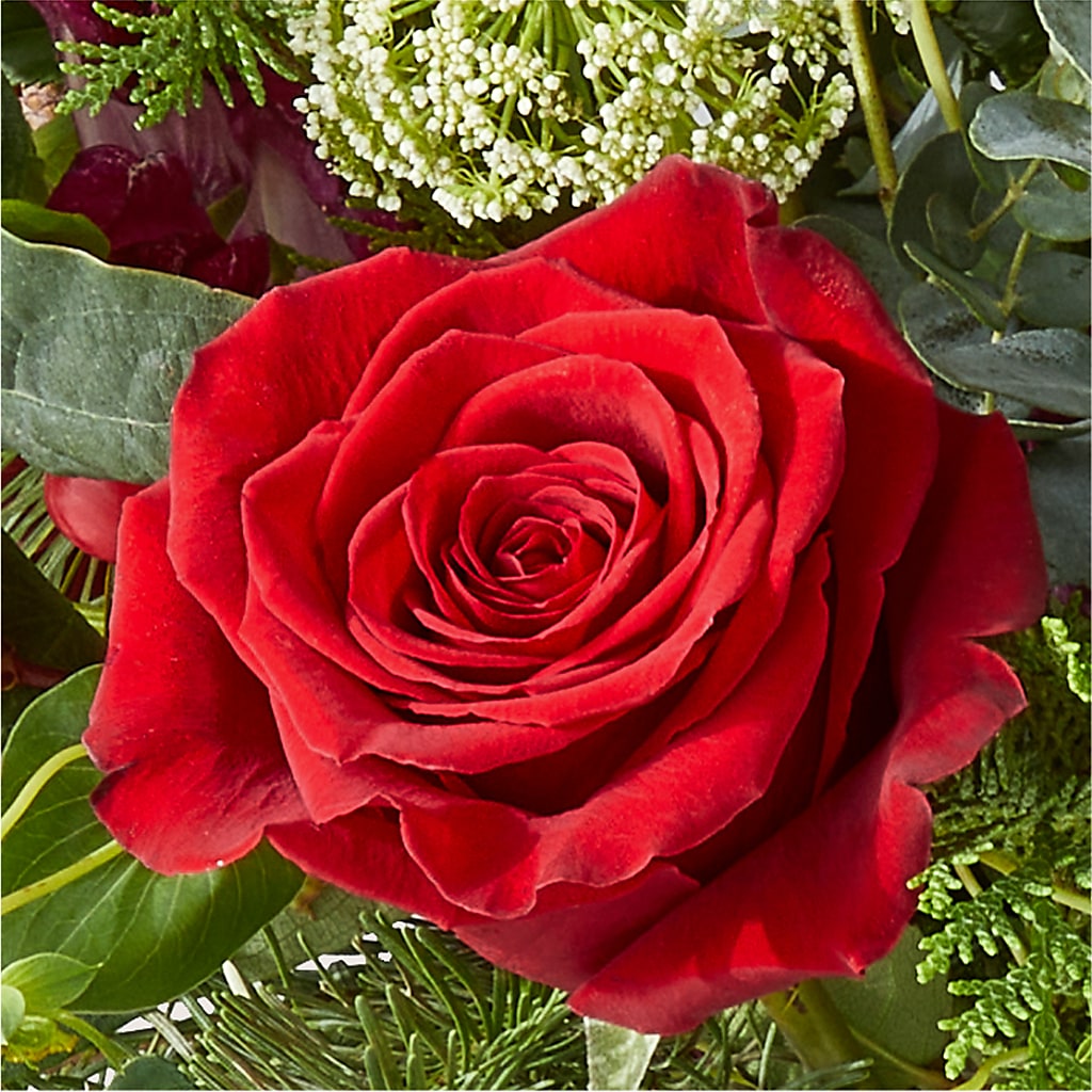 Cranberry Fizz Bouquet –  King Wholesale Flowers Co, Bradenton FL