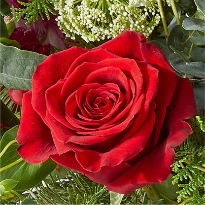 Cranberry Fizz Bouquet –  King Wholesale Flowers Co, Bradenton FL