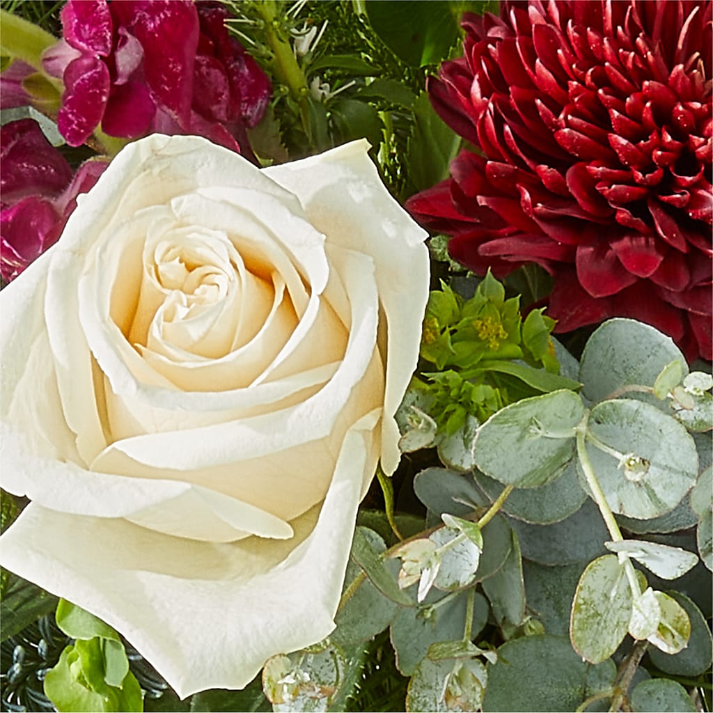 Cranberry Fizz Bouquet –  King Wholesale Flowers Co, Bradenton FL